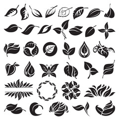 collection of various leaves design elements