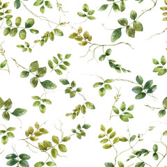 Fototapeta na wymiar Watercolor illustration of leaf, seamless pattern on white background
