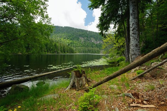 Mountain Lake In Sumava