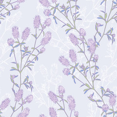 Rabbitfoot clover seamless pattern