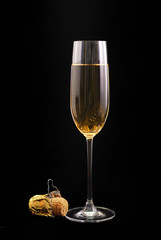 Champagne glass