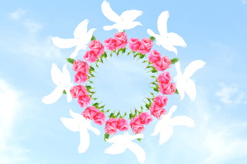 Obraz premium dove around pink rose flower in sky background