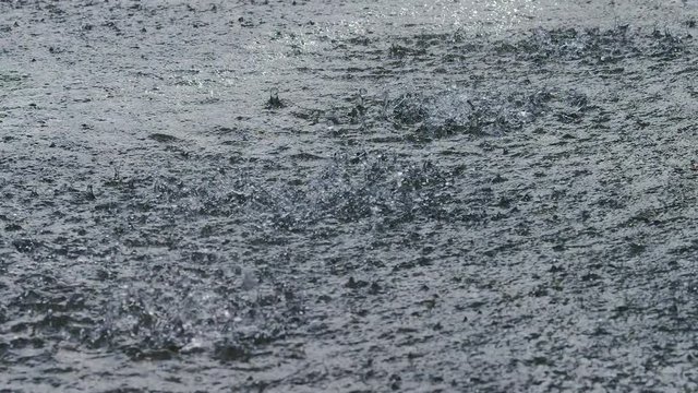 Drops of water in a puddle, in slow motion - version 2