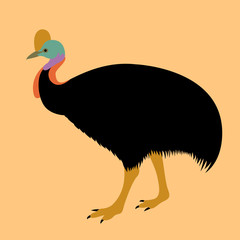 cassowary bird vector illustration style Flat