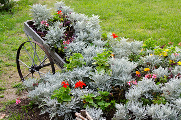 flowers on a cart