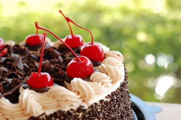Black Forest cake
