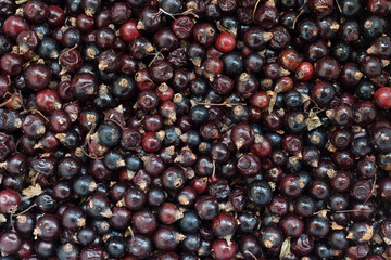 Cherry background/Horizontal close-up of cherry