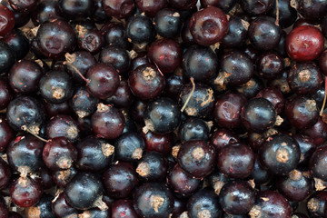 Cherry background/Horizontal close-up of cherry