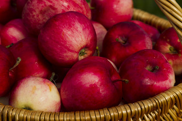 Red apples in wooden wicker basket