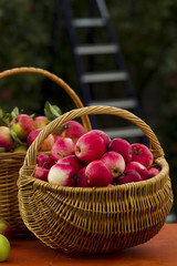 Red apples in wooden wicker basket