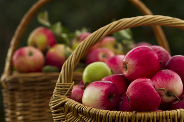 Red apples in wooden wicker basket