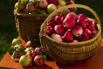 Red apples in wooden wicker basket