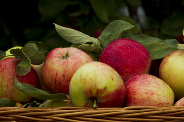 Red apples in wooden wicker basket