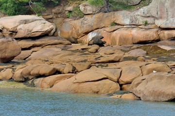 Les rochers de la côte de granit rose à Ploumanach