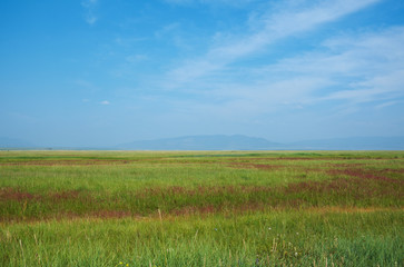 Steppe on a background of mountains