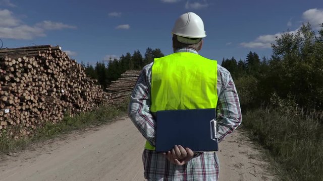 Lumberjack go along the forest road
