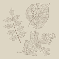 Leaf doodle