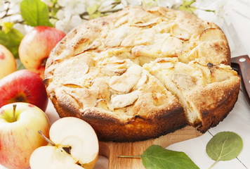Homemade  apple pie
