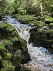 The famous Strid waterfall caused by the narrow gorge of the river Wharfe at Bolton Abbey estate, shipton, yorkshire, UK
