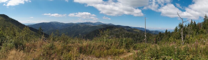 west panorama view from Havrania Polana in Nizke Tatry mountains in Slovakia © rihas