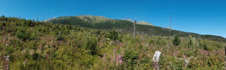 panorama of Krivan mountain in Vysoke Tatry mountains in Slovakia