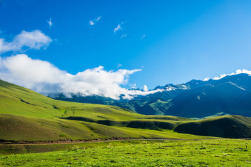 Fototapeta na wymiar Green pastures, Kyrgyzstan.