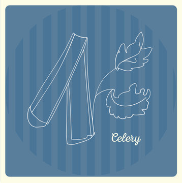 Celery. Vector line illustration. Sketch, doodle. 