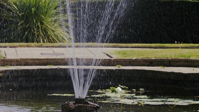 Water fountain in a pond spraying upwards, in slow motion