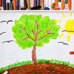 Colorful drawing: Tree on the hill