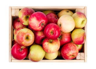 Wooden box full of fresh apples isolated