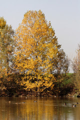 oasi naturale area protetta