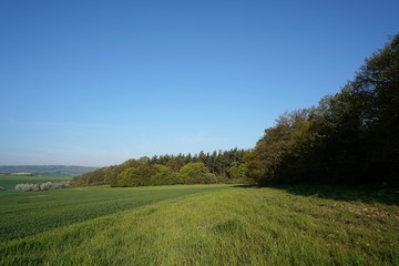 Landschaft im Harz bei Timmenrode