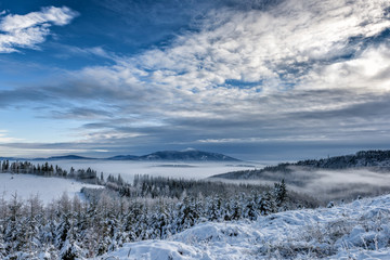 Winter in mountain II