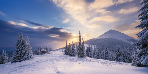 Winter Landscape with a dawn in mountains