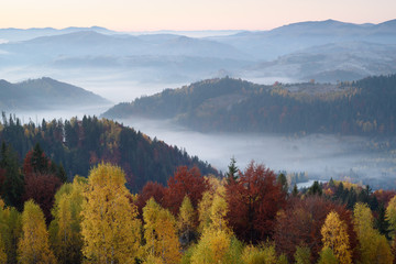 Autumn landscape with morning fog