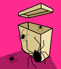 Spiders in Packet