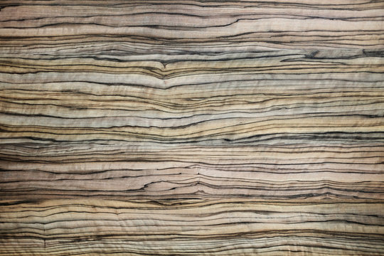 Wood texture natural pattern