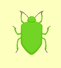 Creepy Beetle Insect Vector