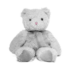 Teddy bear on white background.