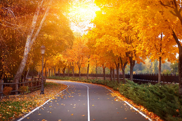 lege weg en kleurrijke gele, groene en rode bomen in het herfstpark