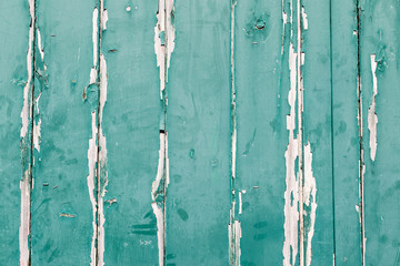 Texture of vertical wood panels with old green paint peeling off