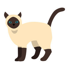 Siamese cat cartoon style vector silhouette. Cute domestic cat animal sitting. Cartoon siamese cat young adorable tail symbol playful. Cartoon funny domestic pussy kitty siamese cat sit character