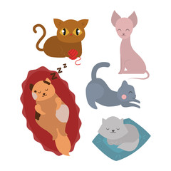 Cats collection vector silhouette. Cute domestic cats different animals. Different cats young adorable tail symbol playful paw. Cartoon funny standing drawing domestic pussy characters set.