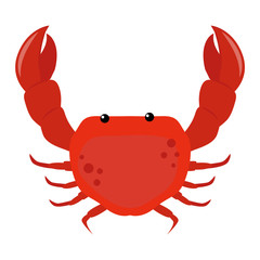 Cartoon crab vector illustration. Red crab isolated on white background vector. Flat red crab marine seafood character.