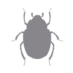 Scarab Silhouette