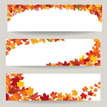 Fall leaves banner set. Swirl autumn leaf background. Nature border decor collection