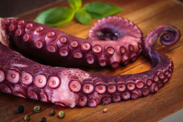 Delicious coocked Octopus