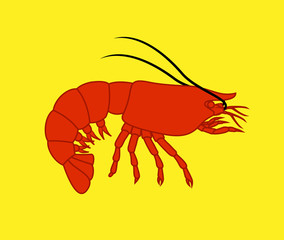 Obraz premium Prawn Fish