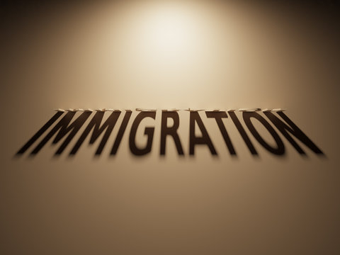 3D Rendering of a Shadow Text that reads Immigration