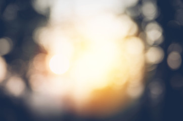 Obraz premium abstract beautiful blurred nature background with sunlight